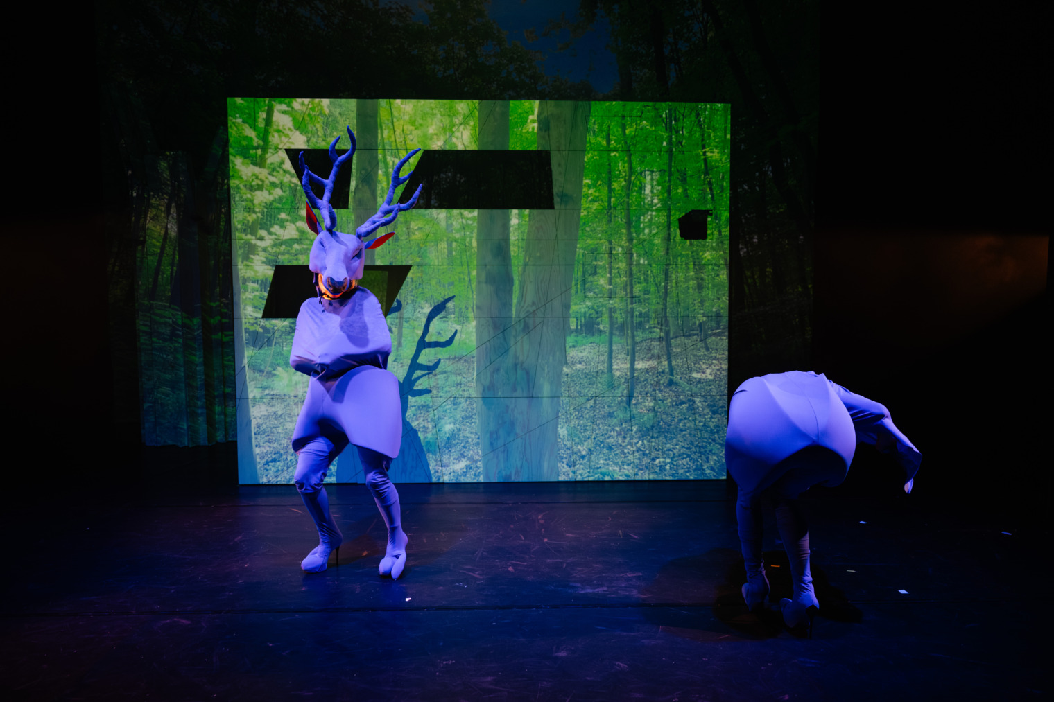  Der Blaue Hirsch - © Monika Isanska