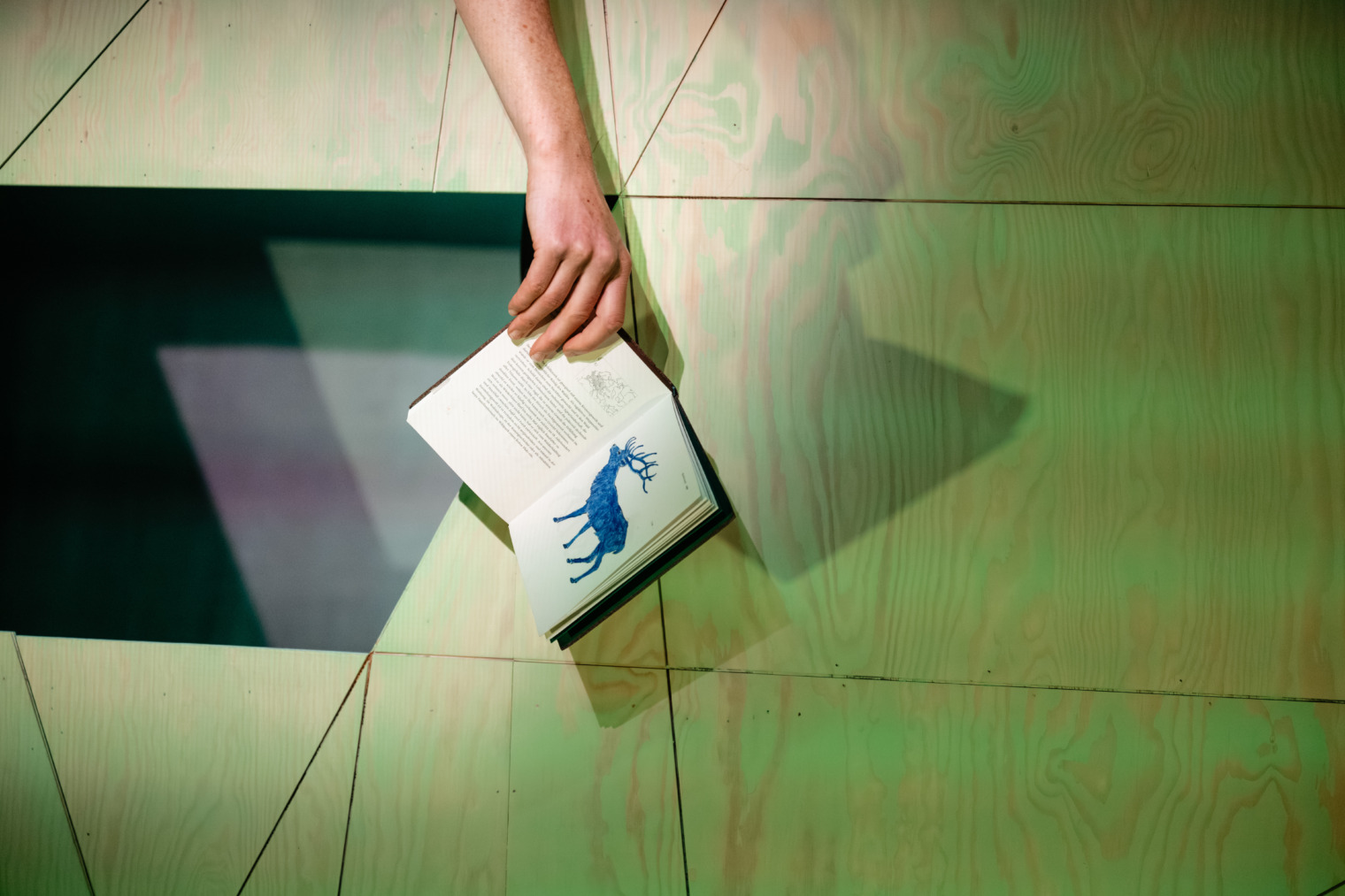  Der Blaue Hirsch - © Monika Isanska
